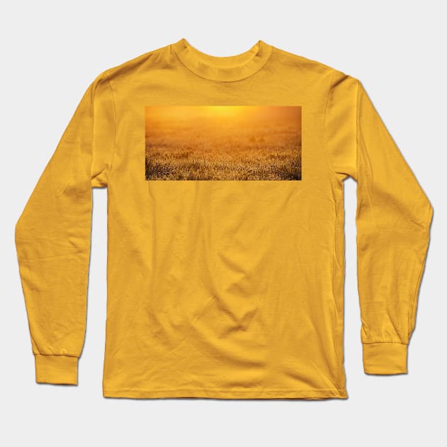 Sunrise Panoramic Spring background Long Sleeve T-Shirt by 1STunningArt